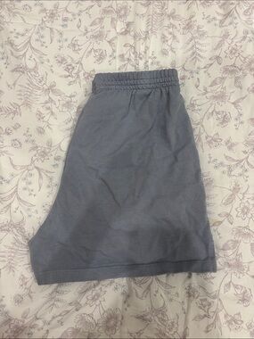Brandy Melville Shorts